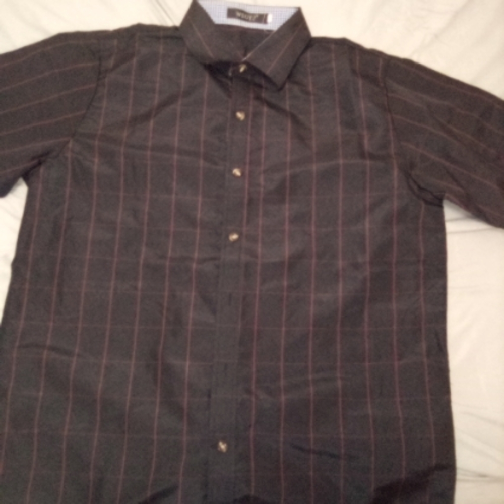 Button down shirts